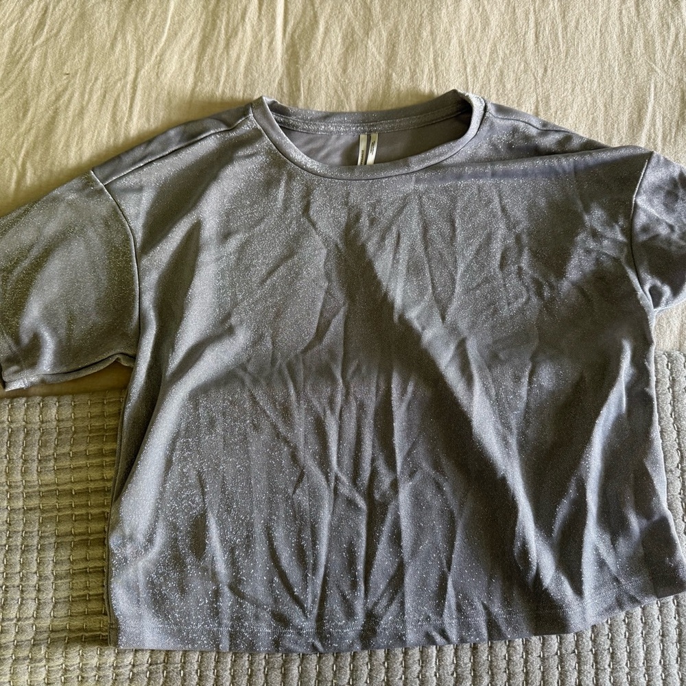 Anthropologie Shimmering Silver Top
